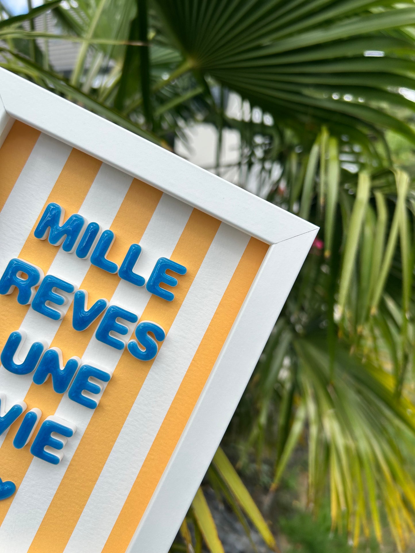 Petit cadre édition ultra limitée  "Mille rêves, une vie"