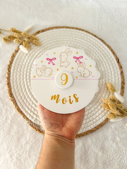 Carte étape LAPINE noeuds